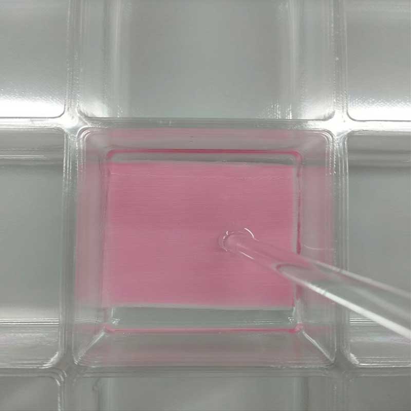 試驗(yàn)片浸泡狀態(tài)